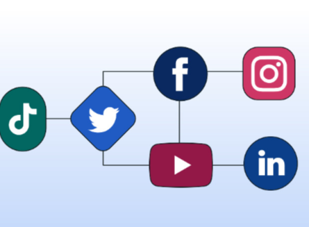 How Social Media Algorithms Impact Online Behavior